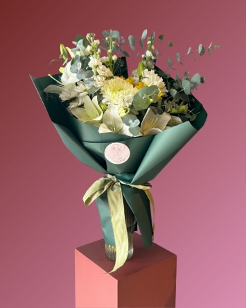 Şebboy ve anastasia 