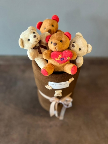 PELUŞ AYICIK KUTUSU