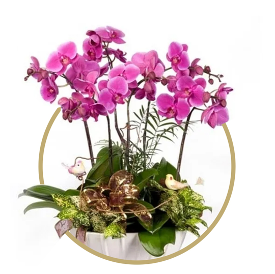 https://www.bbfloralizmir.com/