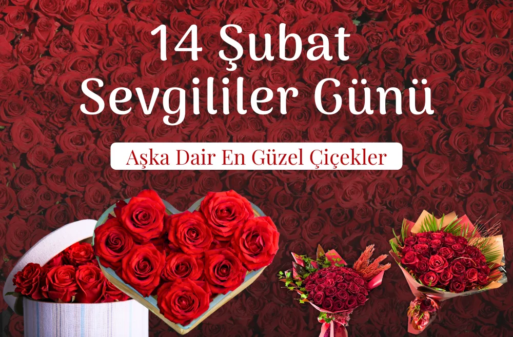 https://www.bbfloralizmir.com/